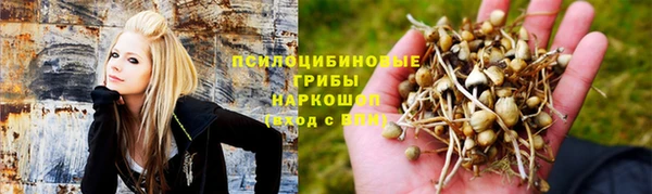 твердый Волоколамск