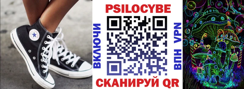 Купить закладки  Суджа  Галлюциногенные грибы MAGIC MUSHROOMS 
